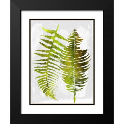 Tropic Spring Black Modern Wood Framed Art Print with Double Matting by Lewis, Sheldon