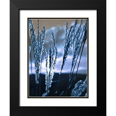 Blue Sunset 3 Black Modern Wood Framed Art Print with Double Matting by Lewis, Sheldon