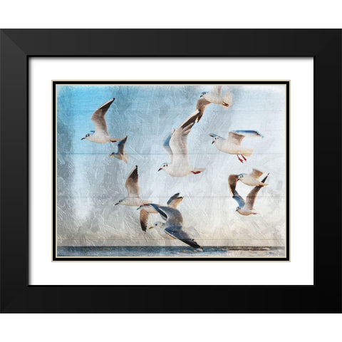 Fly With Friends Black Modern Wood Framed Art Print with Double Matting by Lewis, Sheldon