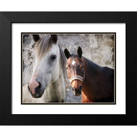 Togetherness Black Modern Wood Framed Art Print with Double Matting by Lewis, Sheldon