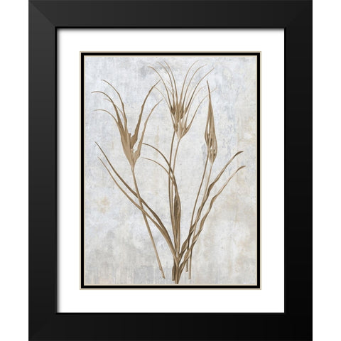 Earth Balance 1 Black Modern Wood Framed Art Print with Double Matting by Lewis, Sheldon