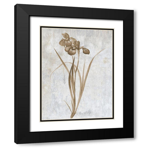 Earth Balance 2 Black Modern Wood Framed Art Print with Double Matting by Lewis, Sheldon