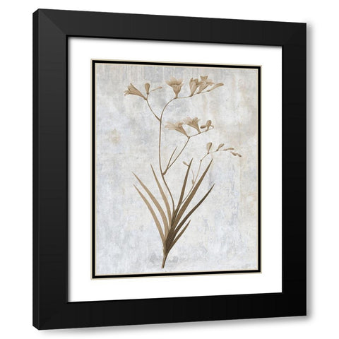 Earth Balance 4 Black Modern Wood Framed Art Print with Double Matting by Lewis, Sheldon