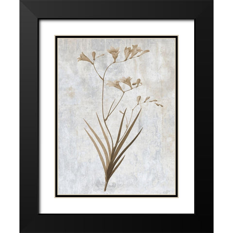 Earth Balance 4 Black Modern Wood Framed Art Print with Double Matting by Lewis, Sheldon