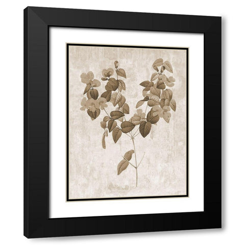 Earth Balance 6 Black Modern Wood Framed Art Print with Double Matting by Lewis, Sheldon