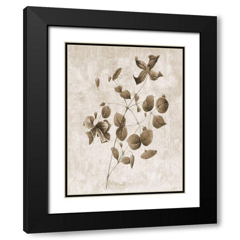 Earth Balance 8 Black Modern Wood Framed Art Print with Double Matting by Lewis, Sheldon