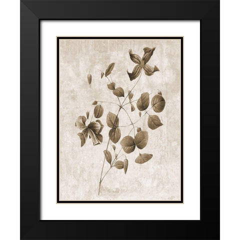Earth Balance 8 Black Modern Wood Framed Art Print with Double Matting by Lewis, Sheldon