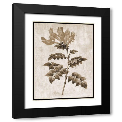 Earth Balance 9 Black Modern Wood Framed Art Print with Double Matting by Lewis, Sheldon