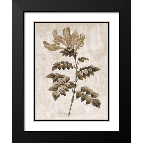 Earth Balance 9 Black Modern Wood Framed Art Print with Double Matting by Lewis, Sheldon