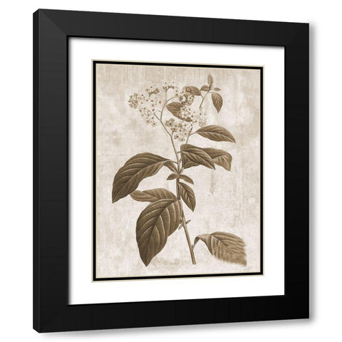 Earth Balance 10 Black Modern Wood Framed Art Print with Double Matting by Lewis, Sheldon