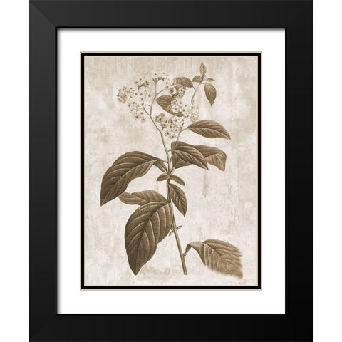 Earth Balance 10 Black Modern Wood Framed Art Print with Double Matting by Lewis, Sheldon