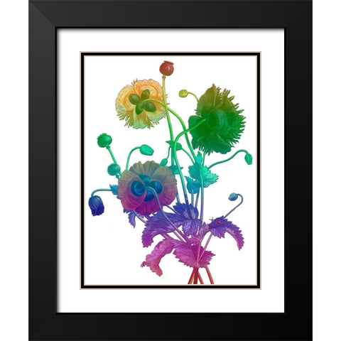 Color Bloom Black Modern Wood Framed Art Print with Double Matting by Lewis, Sheldon