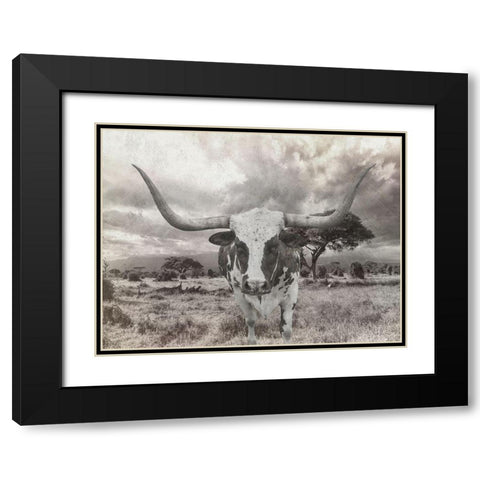 Steer Black Modern Wood Framed Art Print with Double Matting by Lewis, Sheldon