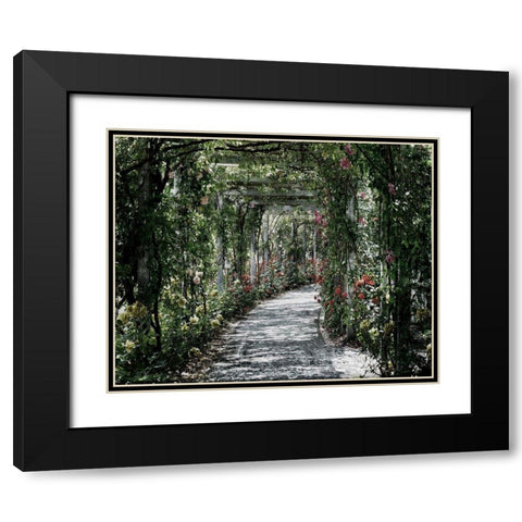 Vintage Garden Black Modern Wood Framed Art Print with Double Matting by Lewis, Sheldon