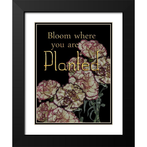 Full Bloom Black Modern Wood Framed Art Print with Double Matting by Lewis, Sheldon