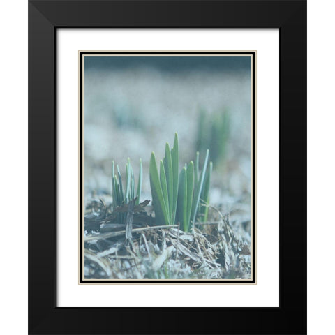 Glory Dew Black Modern Wood Framed Art Print with Double Matting by Lewis, Sheldon