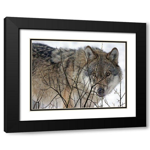 Hunter Black Modern Wood Framed Art Print with Double Matting by Lewis, Sheldon