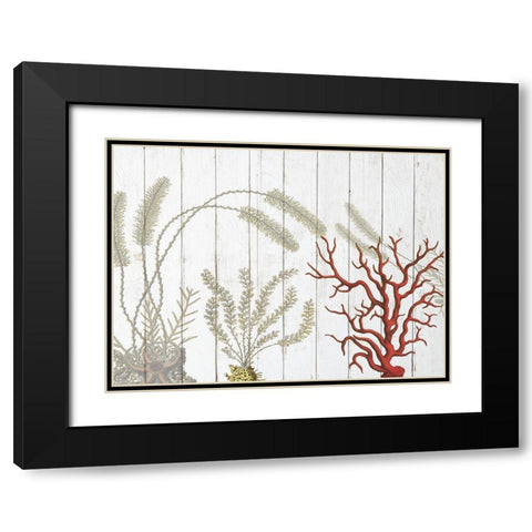 Cosatl Down Under Black Modern Wood Framed Art Print with Double Matting by Lewis, Sheldon