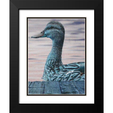 Aqua Duck Black Modern Wood Framed Art Print with Double Matting by Lewis, Sheldon