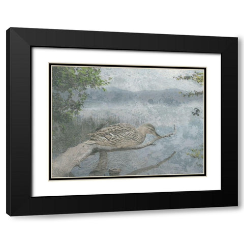 Sitting Duck Black Modern Wood Framed Art Print with Double Matting by Lewis, Sheldon