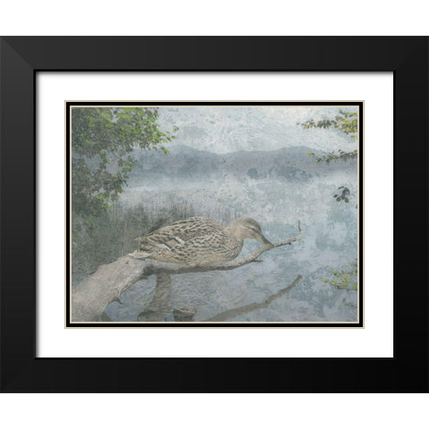 Sitting Duck Black Modern Wood Framed Art Print with Double Matting by Lewis, Sheldon