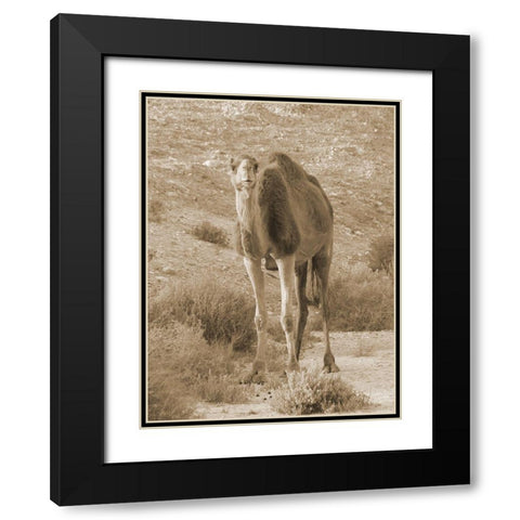Desert Runner 2 Black Modern Wood Framed Art Print with Double Matting by Lewis, Sheldon