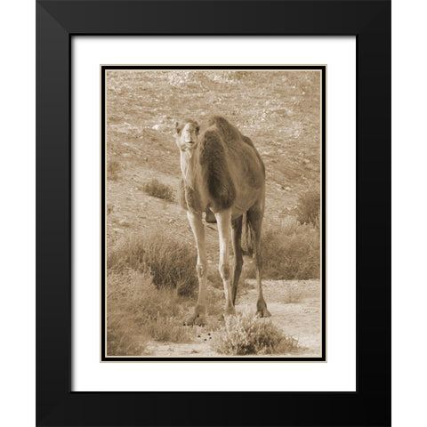 Desert Runner 2 Black Modern Wood Framed Art Print with Double Matting by Lewis, Sheldon