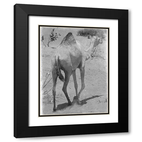 On My Way 1 Black Modern Wood Framed Art Print with Double Matting by Lewis, Sheldon