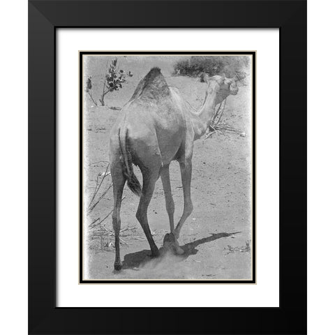 On My Way 1 Black Modern Wood Framed Art Print with Double Matting by Lewis, Sheldon