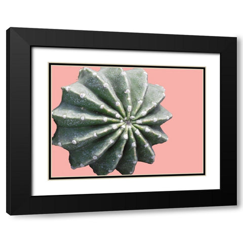 Cactus Bulb Black Modern Wood Framed Art Print with Double Matting by Lewis, Sheldon