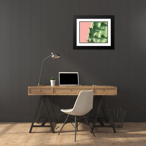 Cactus Flat Black Modern Wood Framed Art Print with Double Matting by Lewis, Sheldon
