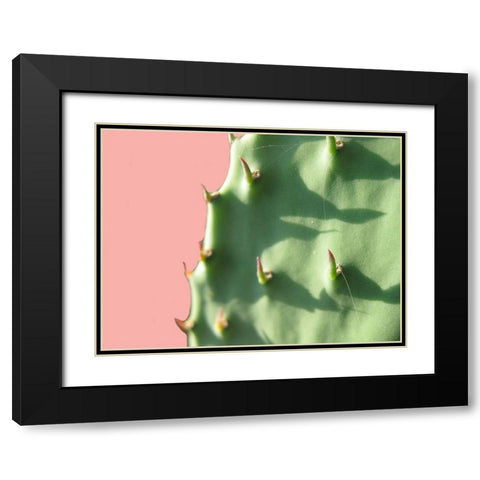 Cactus Flat Black Modern Wood Framed Art Print with Double Matting by Lewis, Sheldon