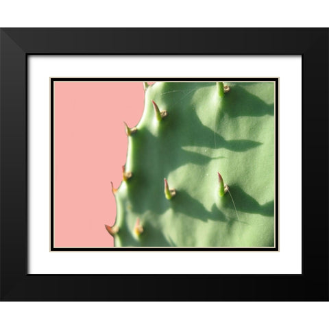 Cactus Flat Black Modern Wood Framed Art Print with Double Matting by Lewis, Sheldon