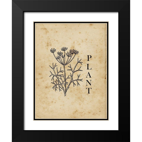 Plant Black Modern Wood Framed Art Print with Double Matting by Lewis, Sheldon
