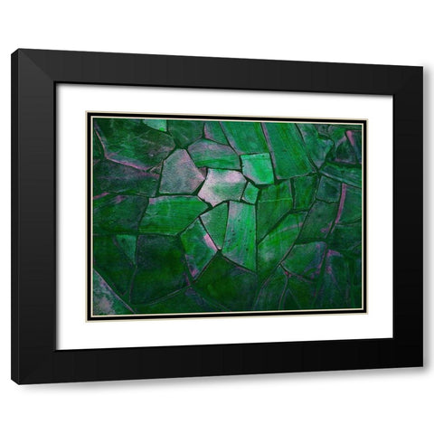 Tropical Green Black Modern Wood Framed Art Print with Double Matting by Lewis, Sheldon