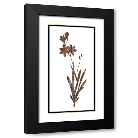 Earth Tone1 Black Modern Wood Framed Art Print with Double Matting by Lewis, Sheldon