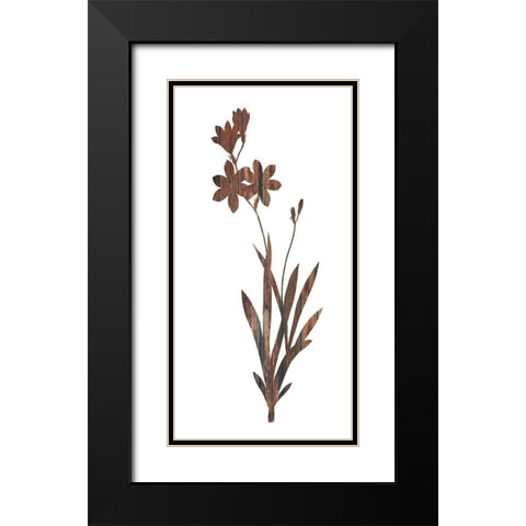 Earth Tone1 Black Modern Wood Framed Art Print with Double Matting by Lewis, Sheldon
