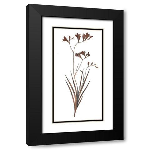Earth Tone 2 Black Modern Wood Framed Art Print with Double Matting by Lewis, Sheldon