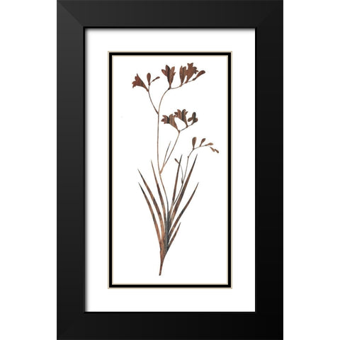 Earth Tone 2 Black Modern Wood Framed Art Print with Double Matting by Lewis, Sheldon
