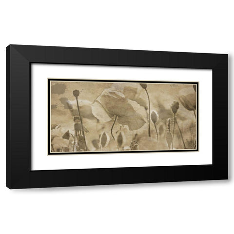 Fresh Meadow Bloom  Black Modern Wood Framed Art Print with Double Matting by Lewis, Sheldon