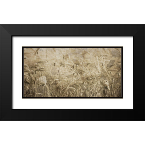Fresh Meadow Bloom 2  Black Modern Wood Framed Art Print with Double Matting by Lewis, Sheldon