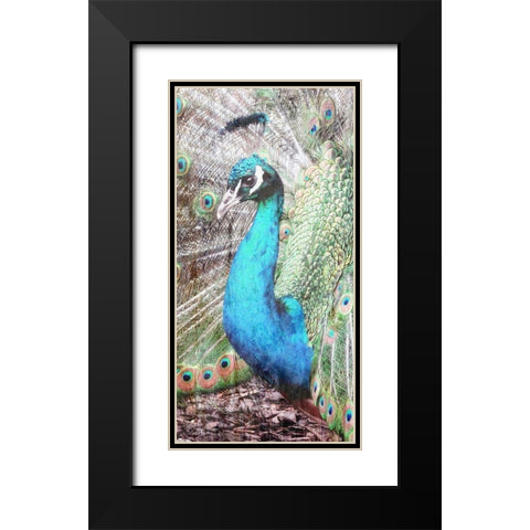 Colered Elegance 2 Black Modern Wood Framed Art Print with Double Matting by Lewis, Sheldon