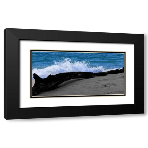 Drift Wood Black Modern Wood Framed Art Print with Double Matting by Lewis, Sheldon