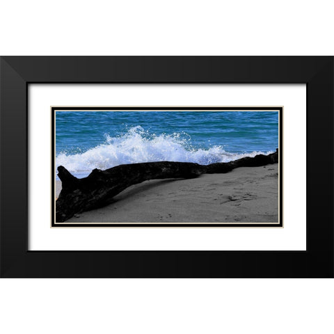 Drift Wood Black Modern Wood Framed Art Print with Double Matting by Lewis, Sheldon