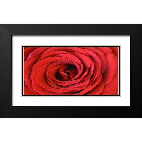 Heart Of The Rose Black Modern Wood Framed Art Print with Double Matting by Lewis, Sheldon
