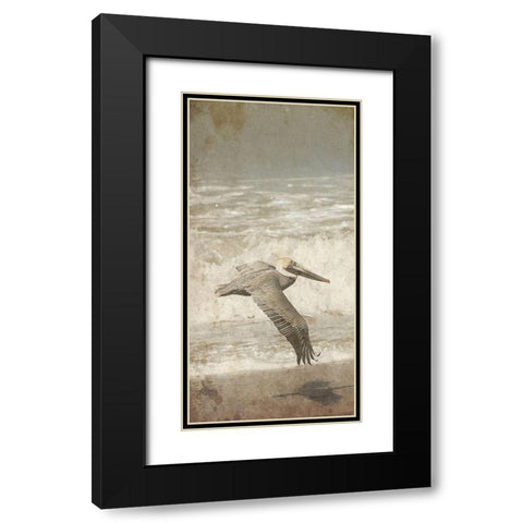 Fly By The Coast Black Modern Wood Framed Art Print with Double Matting by Lewis, Sheldon