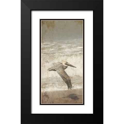 Fly By The Coast Black Modern Wood Framed Art Print with Double Matting by Lewis, Sheldon