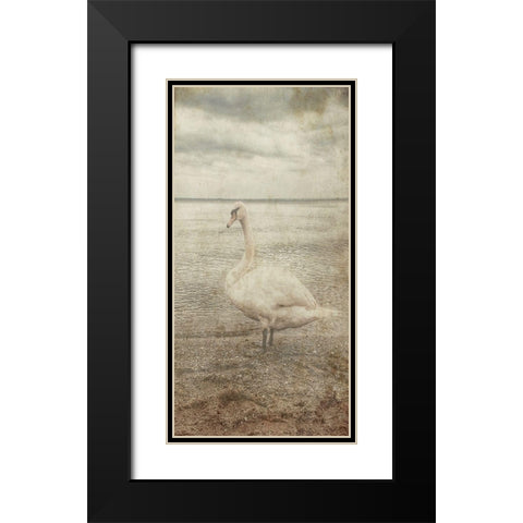 Coast Bird Watch Black Modern Wood Framed Art Print with Double Matting by Lewis, Sheldon