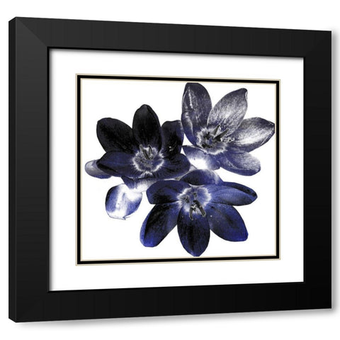 Indi Potion #1 Black Modern Wood Framed Art Print with Double Matting by Lewis, Sheldon