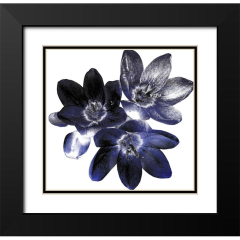 Indi Potion #1 Black Modern Wood Framed Art Print with Double Matting by Lewis, Sheldon